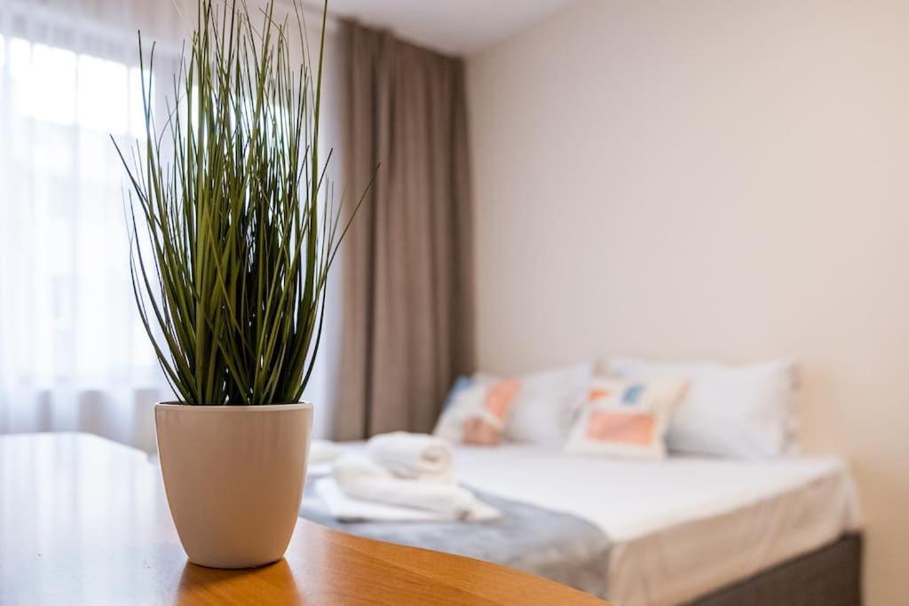 Varna Central 2Bdrm Apartment エクステリア 写真